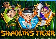 Shaolins Tiger