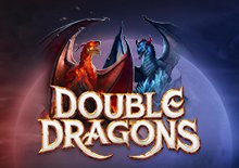 DOUBLE DRAGONS