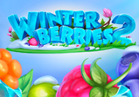 Winter Berries 2