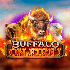 Buffalo on Fire!