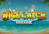 Nice Catch: DoubleMax