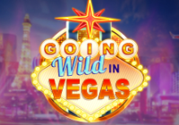 Going WIld in Vegas Wild Fight