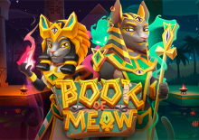 Book of Meow