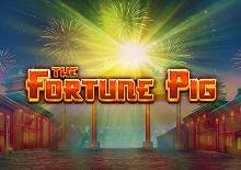 Fortune Pig