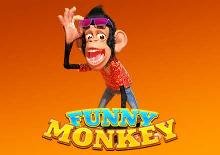 Funny Monkey