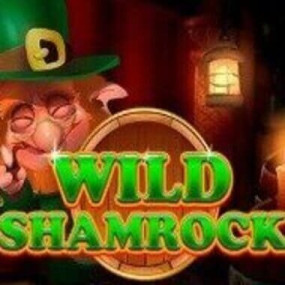 Wild Shamrock