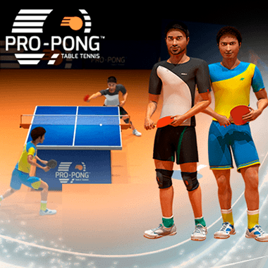 Pro-Pong Table Tennis