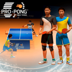 Pro-Pong Table Tennis