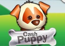 Cash Puppy Classic