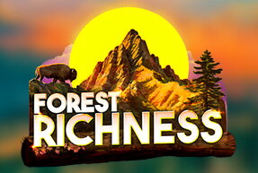 Forest Richness