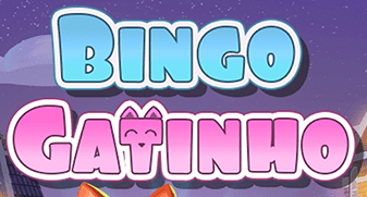 Bingo Gatinho