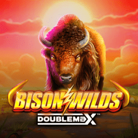 Bison Wilds