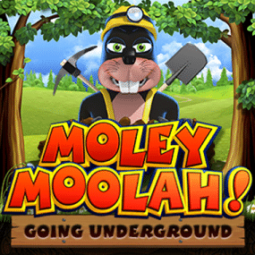 Moley Moolah Going Underground