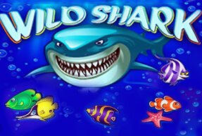 Wild Shark Bonus Buy Slot by Amatic Free Demo Play