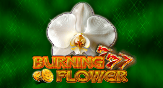 Burning Flower