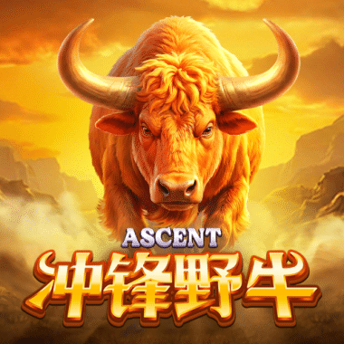 Charge Bison Ascent