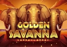 Golden Savanna