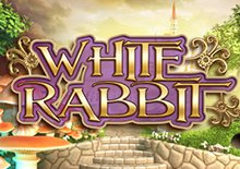 White Rabbit (No Feature Drop)