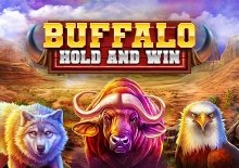 Buffalo: Hold and Win