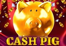 Cash Pig DE