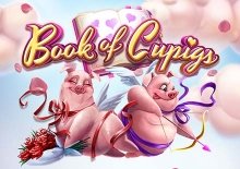Book of Cupigs
