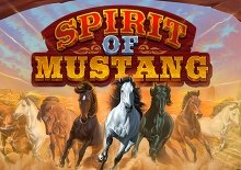 Spirit of Mustang