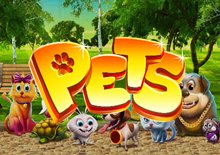 Pets