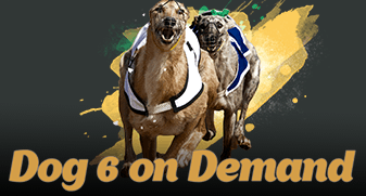 Dog 6 On Demand