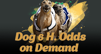 Dog 6 H. Odds On Demand