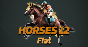 Horses 12 Flat