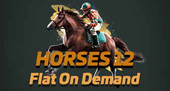 Horses 12 Flat On Demand