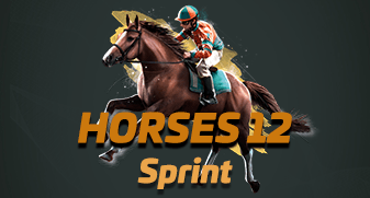 Horses 12 Sprint