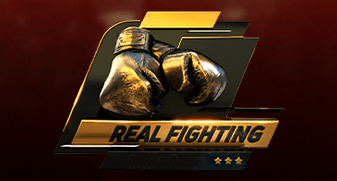 MMA Fighting
