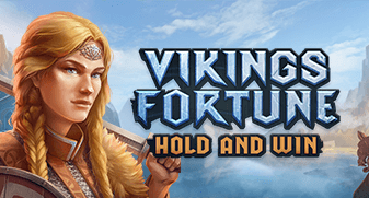 Vikings Fortune: Hold and Wins