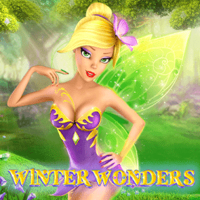 Winter Wonders