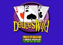 Multihand Deuces Wild Poker