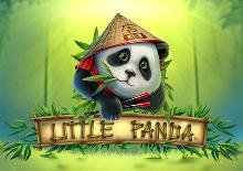 Little Panda