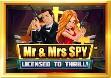 Mr & Mrs Spy™