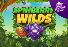 Spinberry Wilds