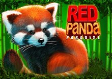 Red Panda Paradise